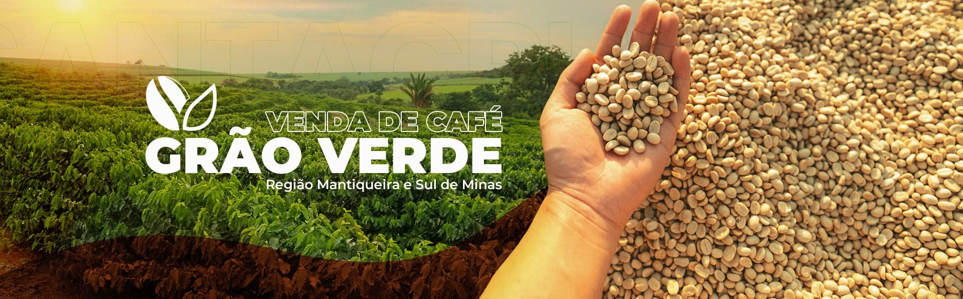 Café em Grão Verde